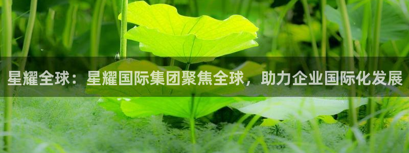 万事娱乐3平台登录注册：星耀全球：星耀国际集团聚焦全球，助力企业国际化发展
