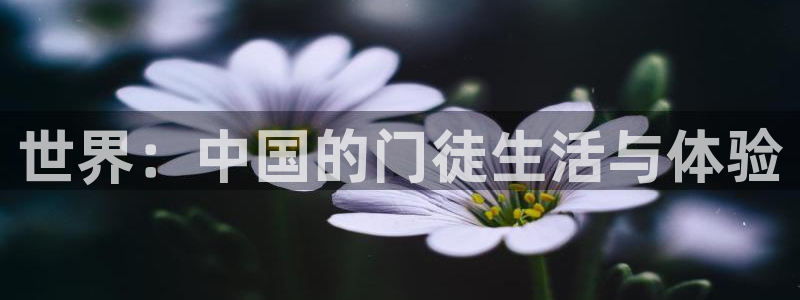 万事娱乐官网：世界：中国的门徒生活与体验