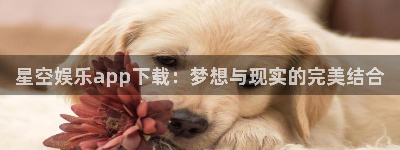 万事娱乐体育：星空娱乐app下载：梦想与现实的完美结合