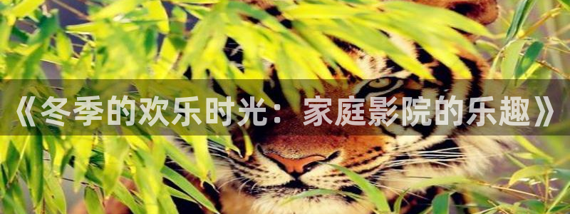 万事娱乐体育代理：《冬季的欢乐时光：家庭影院的乐趣》