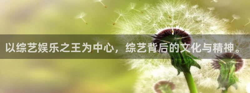万事娱乐体育老板是谁：以综艺娱乐之王为中心，综艺背后的文化与精神。