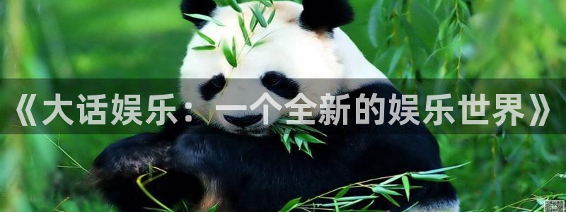 万事娱乐5招商：《大话娱乐：一个全新的娱乐世界》