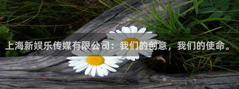 万事娱乐体育2：上海新娱乐传媒有限公司：我们的创意，我们的使命。