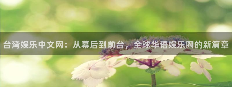 万事娱乐4：台湾娱乐中文网：从幕后到前台，全球华语娱乐圈的新篇章