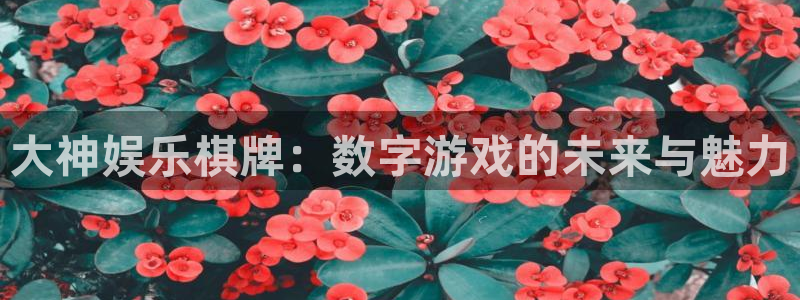 万事娱乐2平台注册：大神娱乐棋牌：数字游戏的未来与魅力