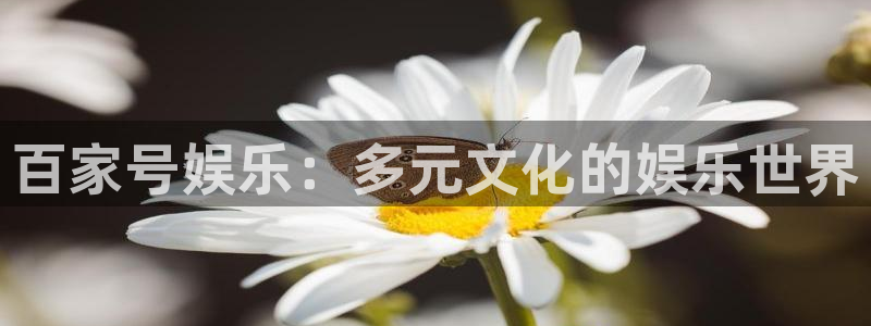 万事娱乐官网：百家号娱乐：多元文化的娱乐世界