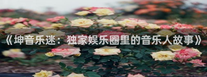 万事娱乐体育网页版入口：《坤音乐迷：独家娱乐圈里的音乐人故事》