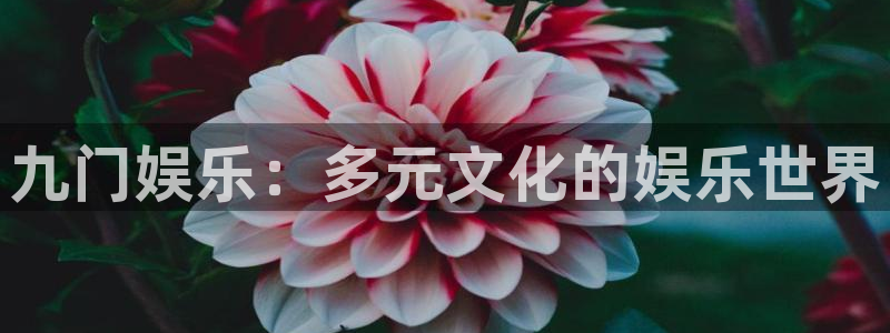 万事娱乐平台招商：九门娱乐：多元文化的娱乐世界