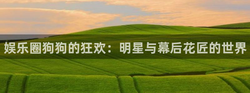 万事娱乐官网注册：娱乐圈狗狗的狂欢：明星与幕后花匠的世界