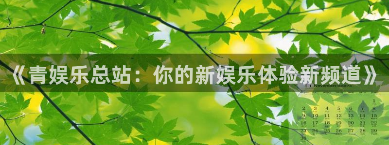 万事娱乐2体育登录入口：《青娱乐总站：你的新娱乐体验新频道》