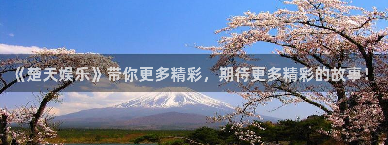 上海万事娱乐汽车电子有限公司：《楚天娱乐》带你更多精彩，期待更多精彩的故事！