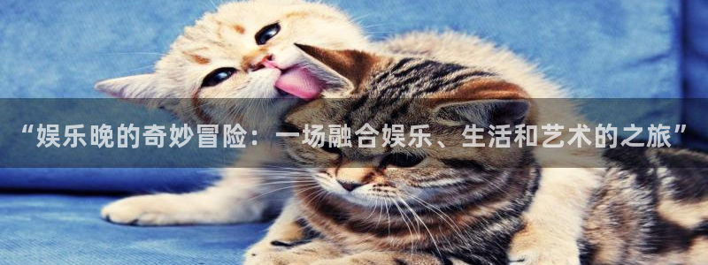 万事娱乐2平台注册：“娱乐晚的奇妙冒险：一场融合娱乐、生活和艺术的之旅”