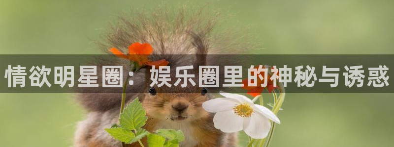 万事娱乐3官网登录：情欲明星圈：娱乐圈里的神秘与诱惑