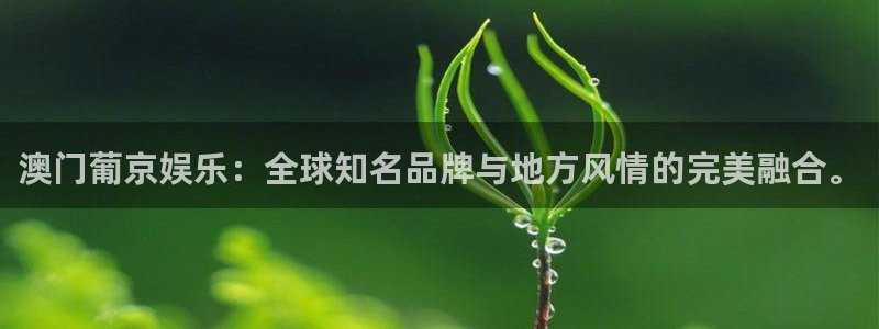 万事娱乐4：澳门葡京娱乐：全球知名品牌与地方风情的完美融合。