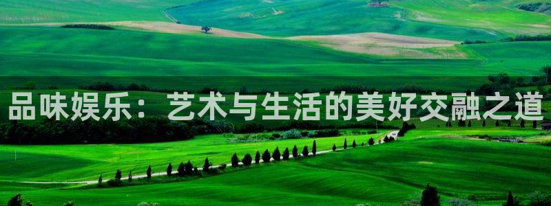 万事娱乐体育老板是谁：品味娱乐：艺术与生活的美好交融之道