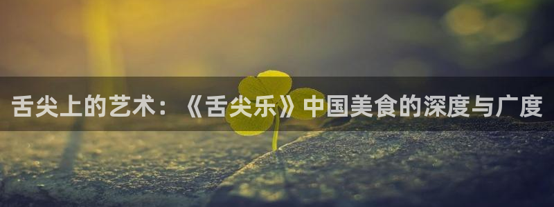 万事娱乐体育官网注册：舌尖上的艺术：《舌尖乐》中国美食的深度与广度